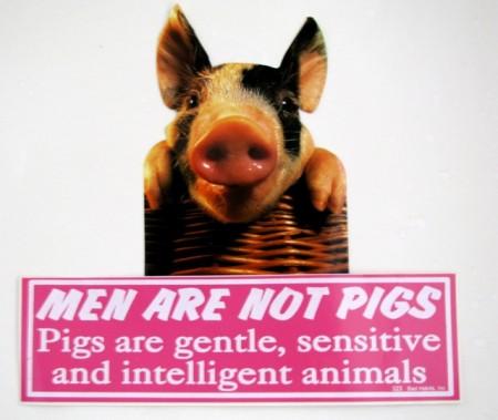 Men are pigs or not ?